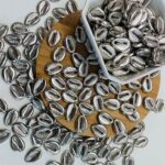 Búzios Miçanga Concha do Mar 12x18mm 25gr - Imagem 2