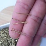 Alfinete Contrapino Cabeça Achatada 2cm - 10grs
